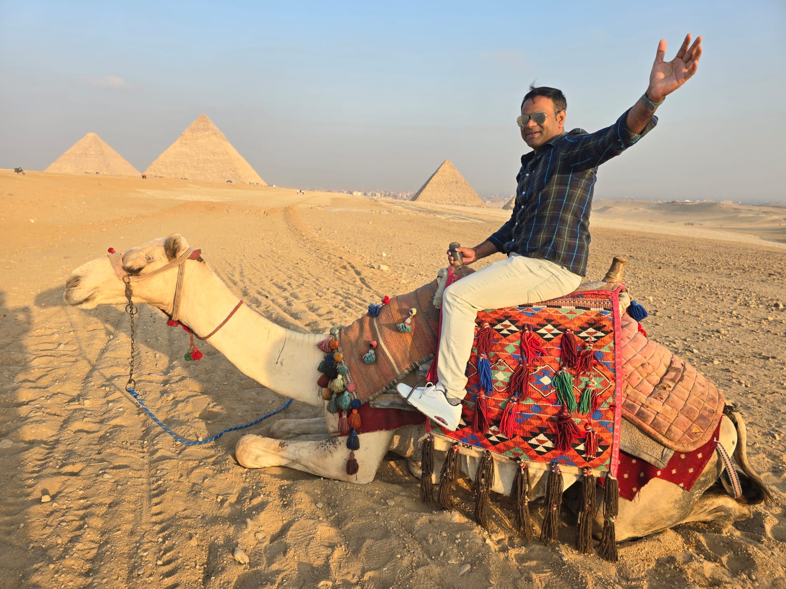 Half day tour Giza Pyramids with camel ride