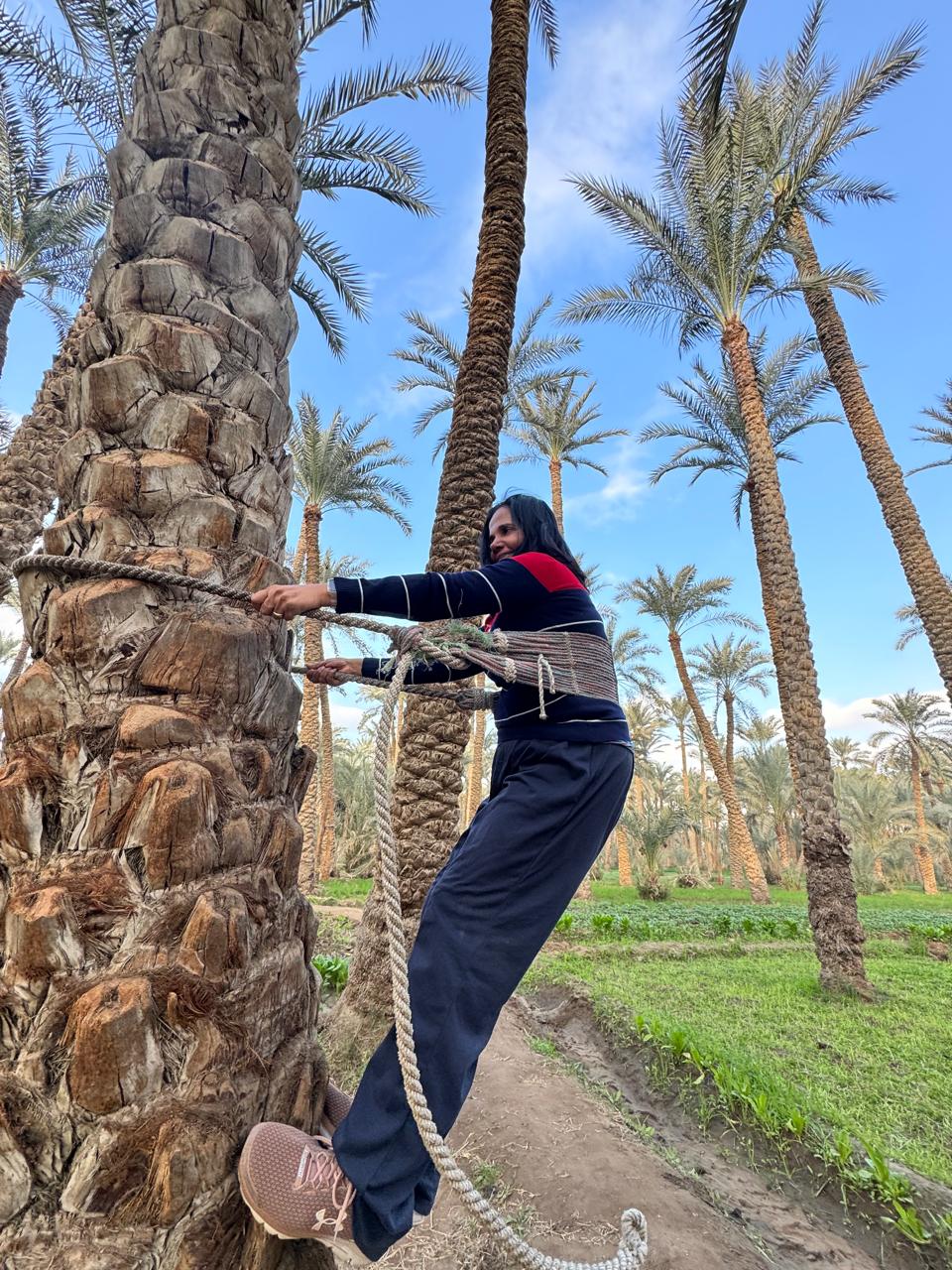 Giza Countryside and Dahshur Day Tour