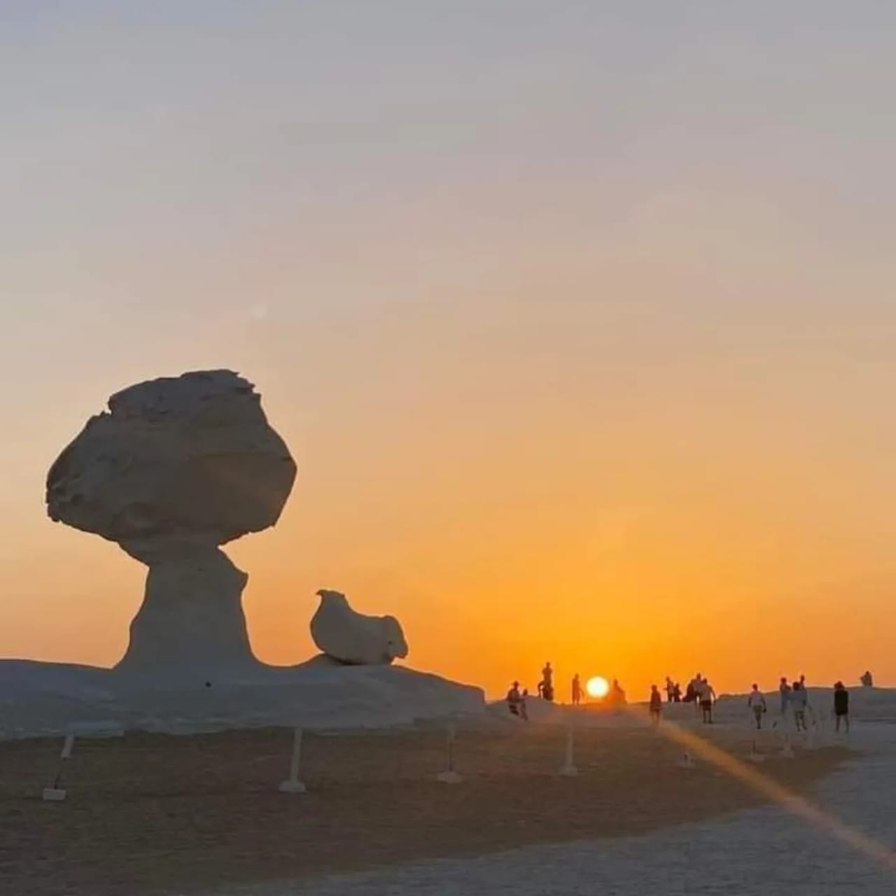 White desert and Bahariya oasis 2 days with camping experience